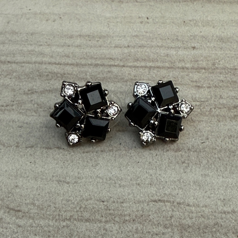Elegant Black and Silver Earrings